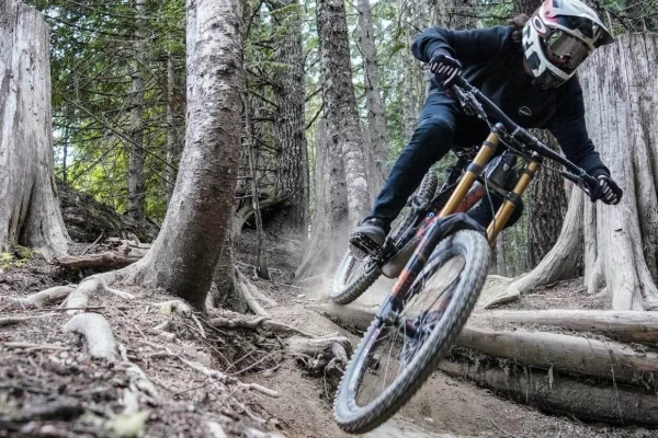 Woodland mountain biking